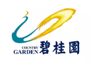 饶平碧桂园地产